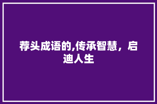 荐头成语的,传承智慧，启迪人生