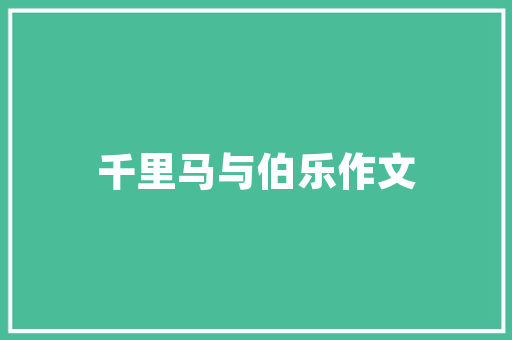 绿色循环，智慧延续_我国回收电脑计划助力可持续发展