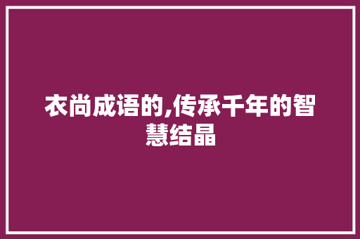 衣尚成语的,传承千年的智慧结晶