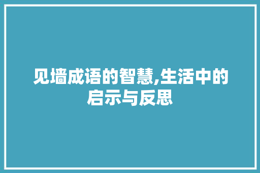 见墙成语的智慧,生活中的启示与反思