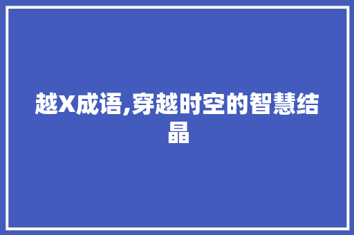 越X成语,穿越时空的智慧结晶