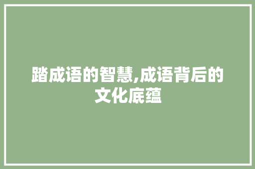 踏成语的智慧,成语背后的文化底蕴