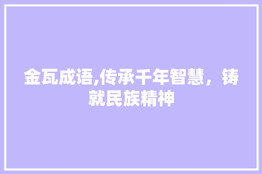 金瓦成语,传承千年智慧，铸就民族精神