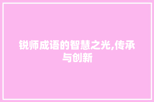 锐师成语的智慧之光,传承与创新