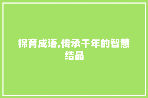 锦育成语,传承千年的智慧结晶
