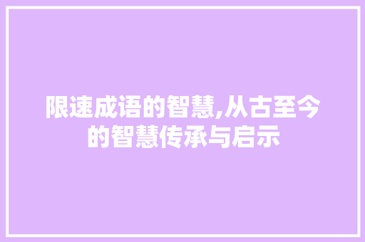 限速成语的智慧,从古至今的智慧传承与启示 古代典籍