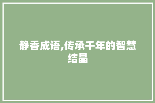 静香成语,传承千年的智慧结晶