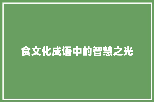 食文化成语中的智慧之光 成语汇编