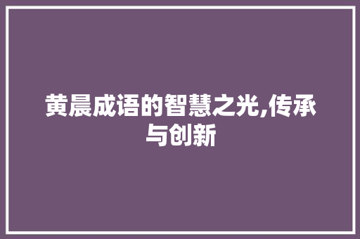 黄晨成语的智慧之光,传承与创新