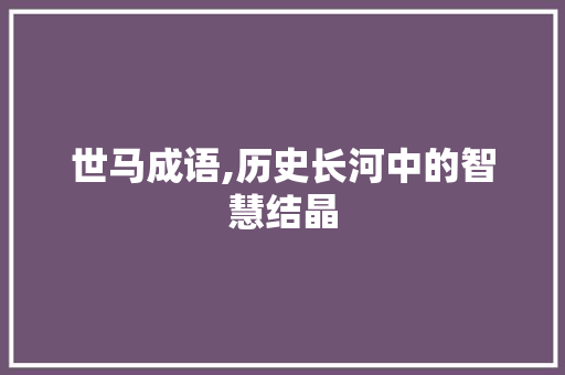 世马成语,历史长河中的智慧结晶