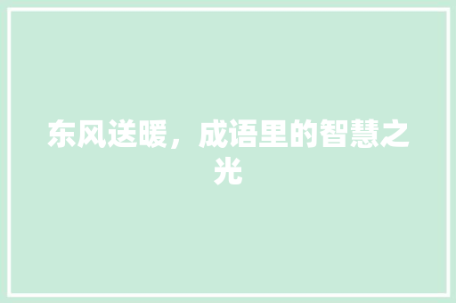 东风送暖，成语里的智慧之光