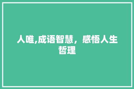 人唯,成语智慧，感悟人生哲理 短语