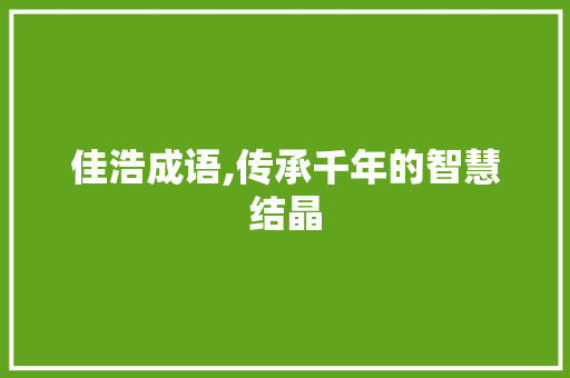 佳浩成语,传承千年的智慧结晶