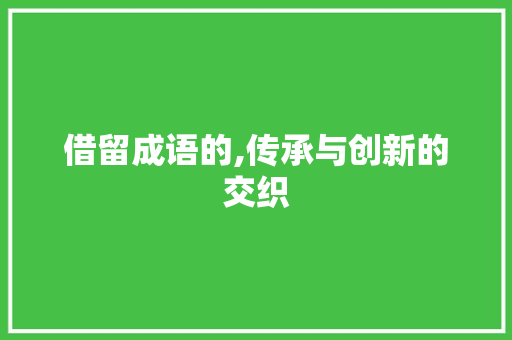借留成语的,传承与创新的交织