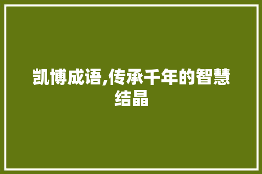 凯博成语,传承千年的智慧结晶