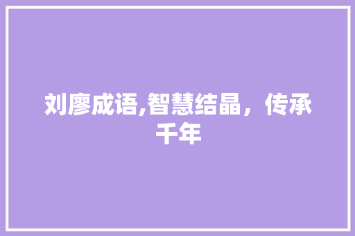 刘廖成语,智慧结晶，传承千年