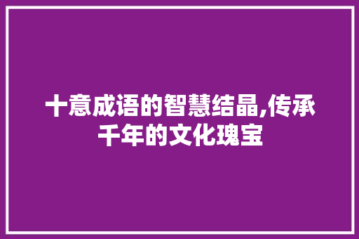 十意成语的智慧结晶,传承千年的文化瑰宝