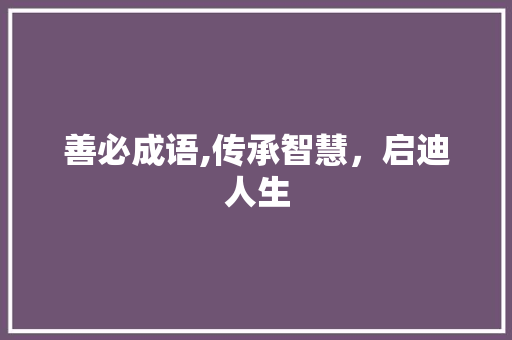 善必成语,传承智慧，启迪人生 近义词汇