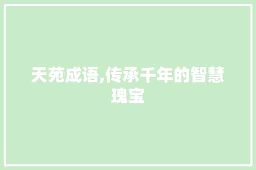 天苑成语,传承千年的智慧瑰宝