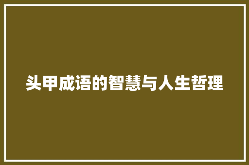 头甲成语的智慧与人生哲理