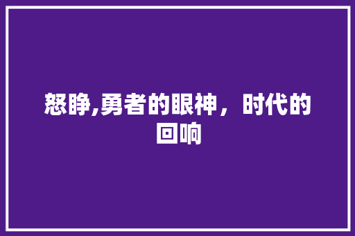 怒睁,勇者的眼神，时代的回响