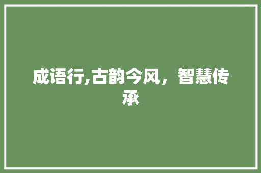 成语行,古韵今风，智慧传承 问答