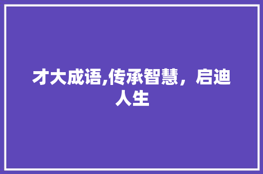 才大成语,传承智慧，启迪人生