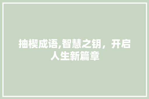 抽楔成语,智慧之钥，开启人生新篇章 诗词佳句