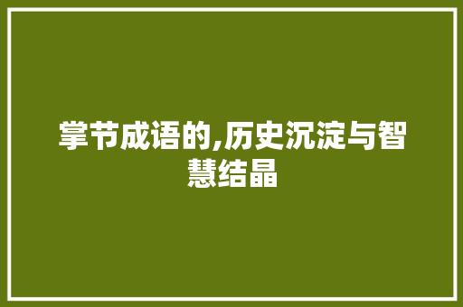 掌节成语的,历史沉淀与智慧结晶