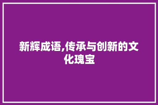 新辉成语,传承与创新的文化瑰宝