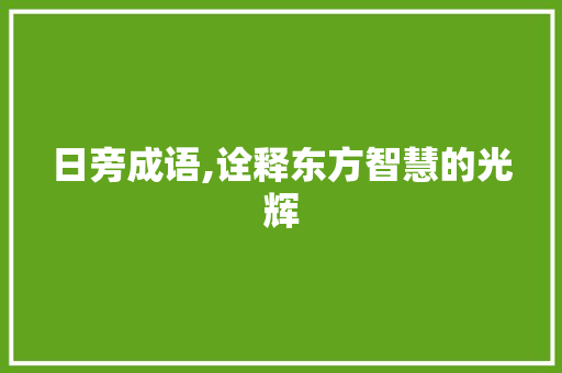 日旁成语,诠释东方智慧的光辉