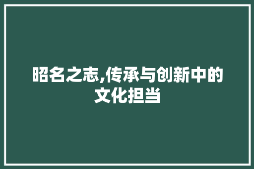 昭名之志,传承与创新中的文化担当