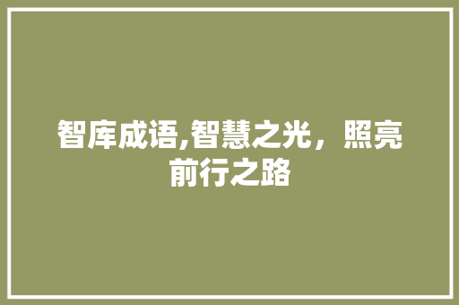 智库成语,智慧之光，照亮前行之路