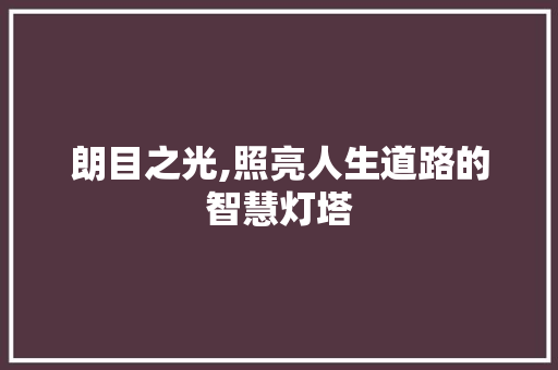 朗目之光,照亮人生道路的智慧灯塔