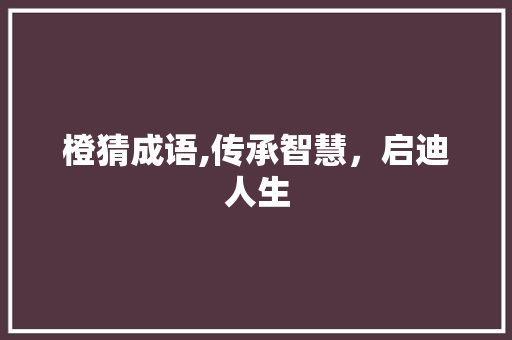 橙猜成语,传承智慧，启迪人生 短语