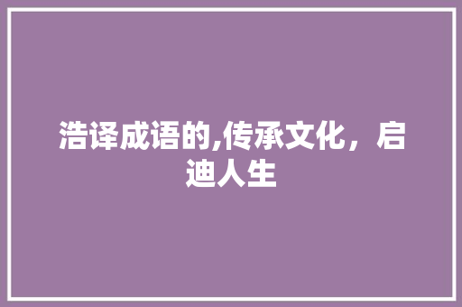 浩译成语的,传承文化，启迪人生