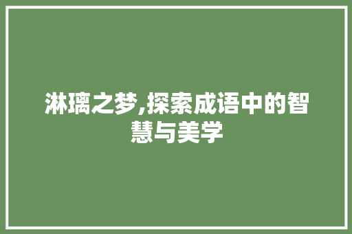 淋璃之梦,探索成语中的智慧与美学