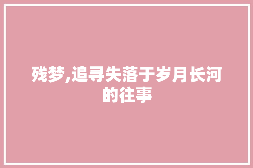 残梦,追寻失落于岁月长河的往事 短语