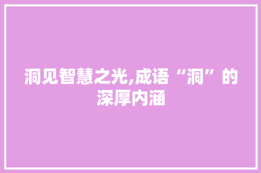 洞见智慧之光,成语“洞”的深厚内涵 问答