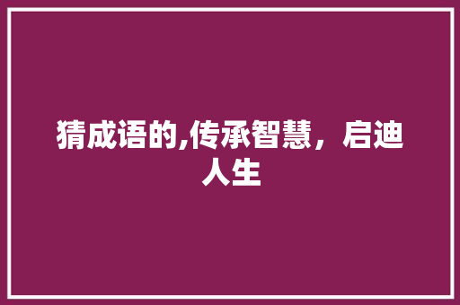 猜成语的,传承智慧，启迪人生