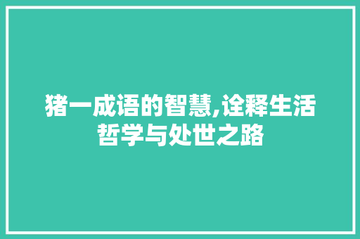 猪一成语的智慧,诠释生活哲学与处世之路