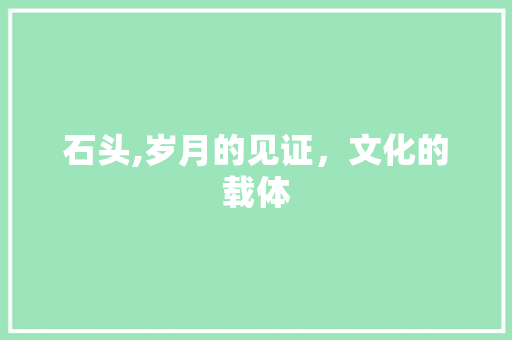 石头,岁月的见证，文化的载体