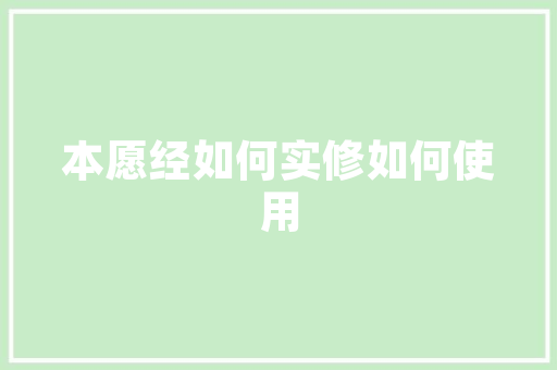 精益求精,成语注一中的智慧之光