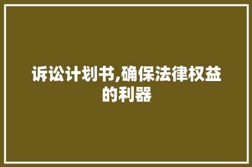 诉讼计划书,确保法律权益的利器