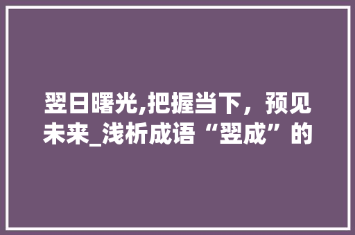 翌日曙光,把握当下，预见未来_浅析成语“翌成”的现代意义