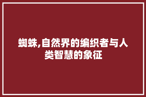 蜘蛛,自然界的编织者与人类智慧的象征