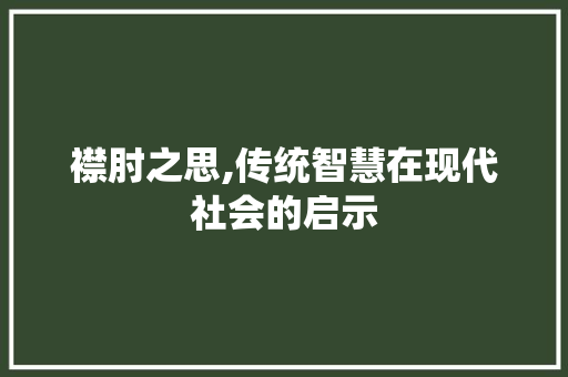 襟肘之思,传统智慧在现代社会的启示