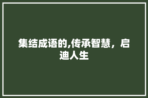 集结成语的,传承智慧，启迪人生