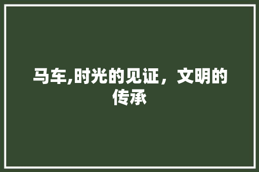 马车,时光的见证，文明的传承