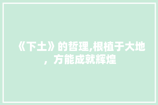 《下土》的哲理,根植于大地，方能成就辉煌